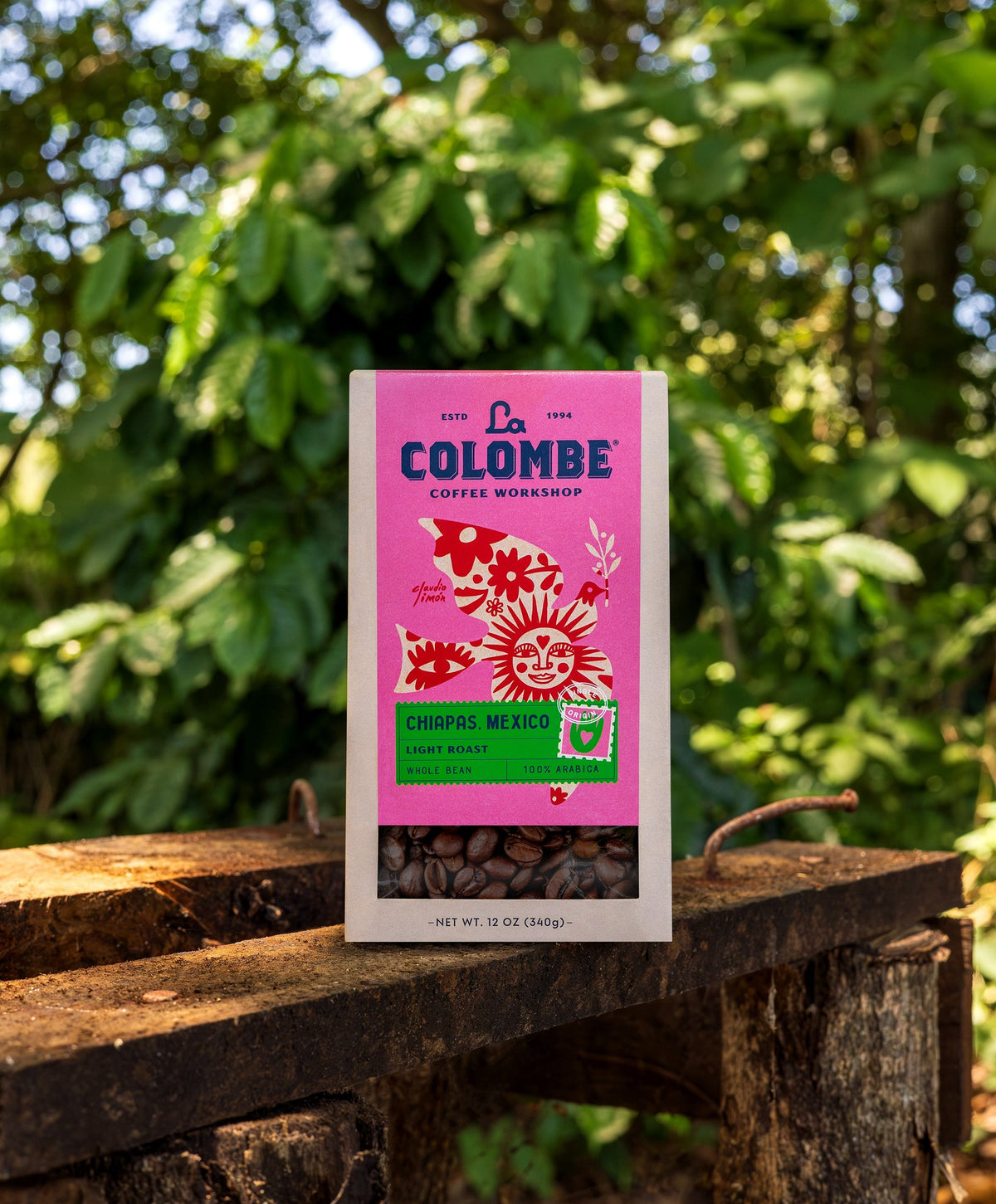 Inside Finca Santa Cruz: The Story Behind Our Mexico Chiapas Coffee