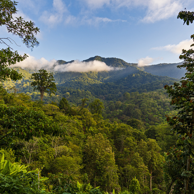 Mexico Chiapas