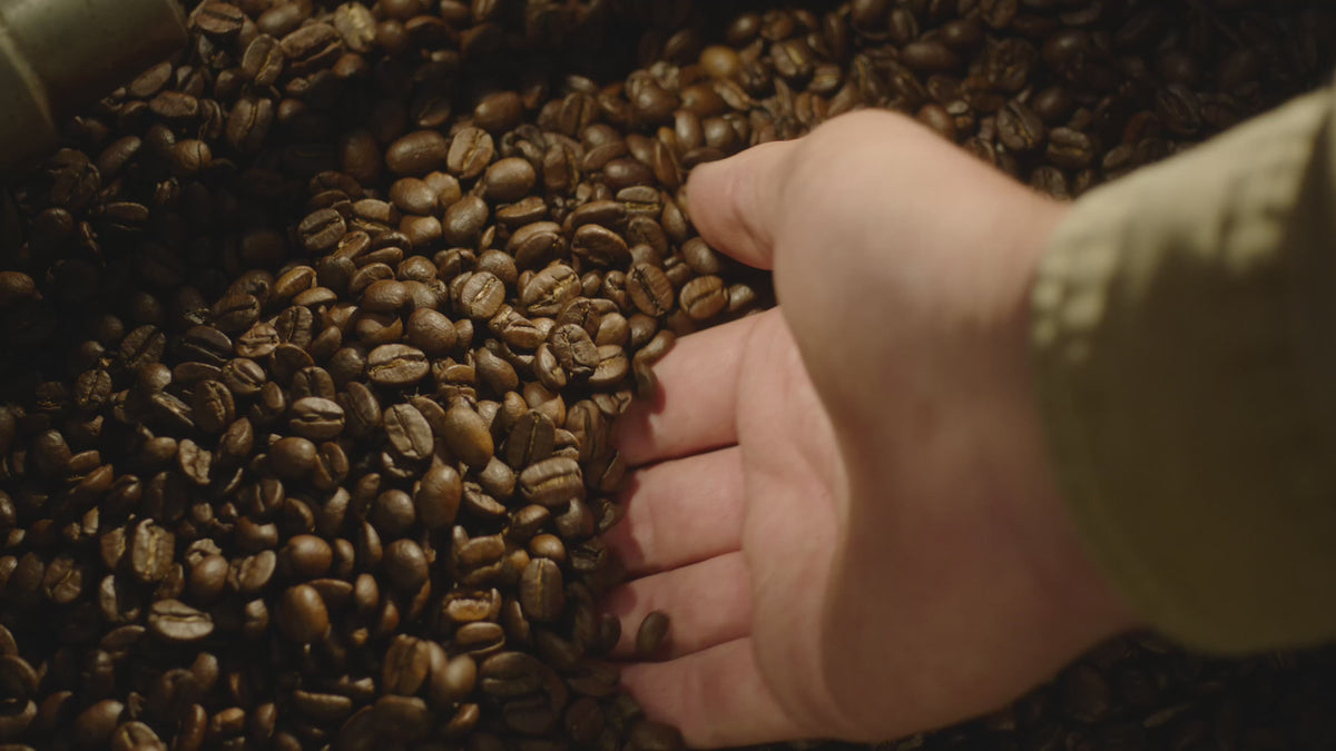 Hand reaching for roasted coffee beans