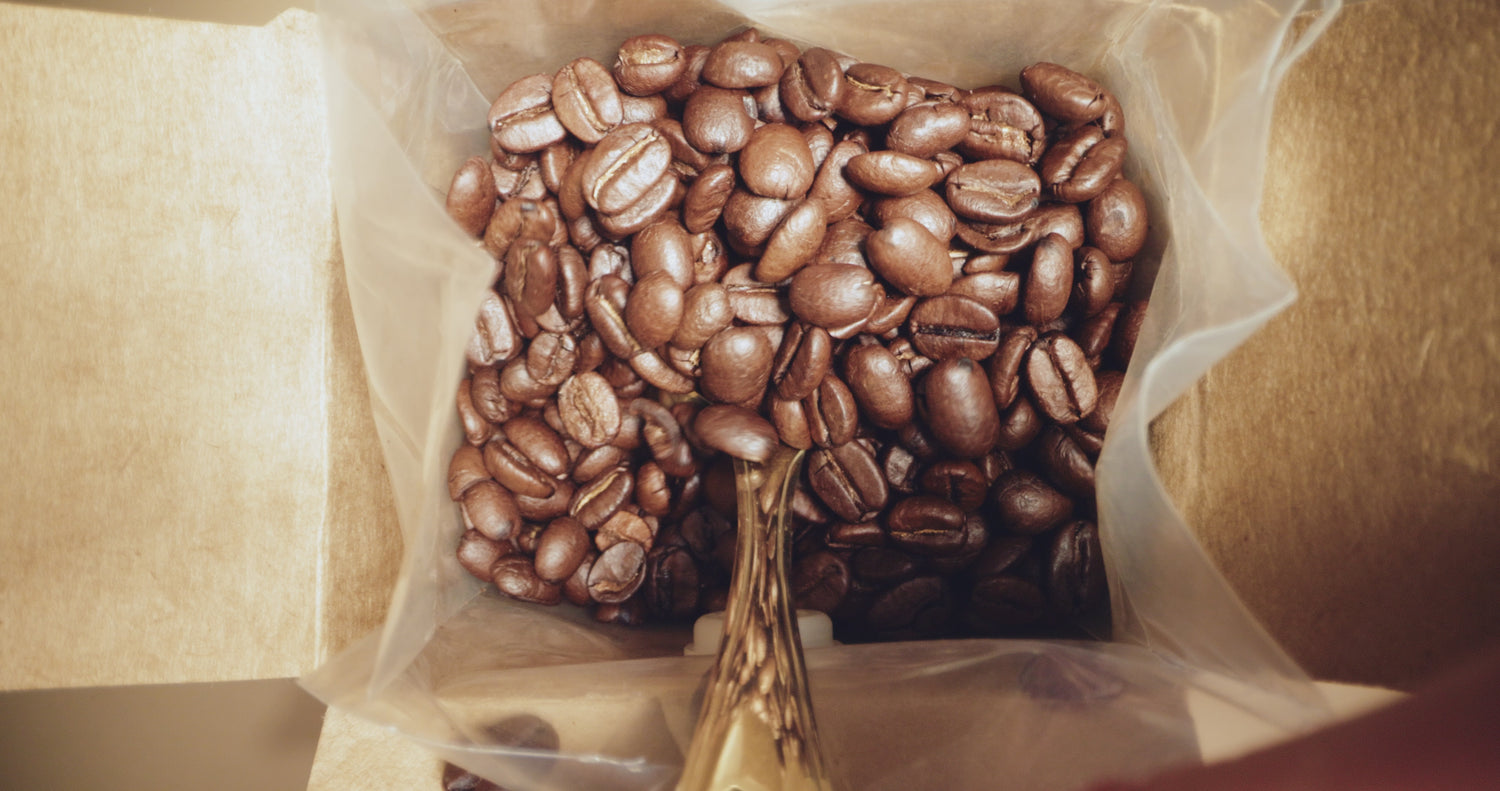 Coffee beans being scooped out of a bag